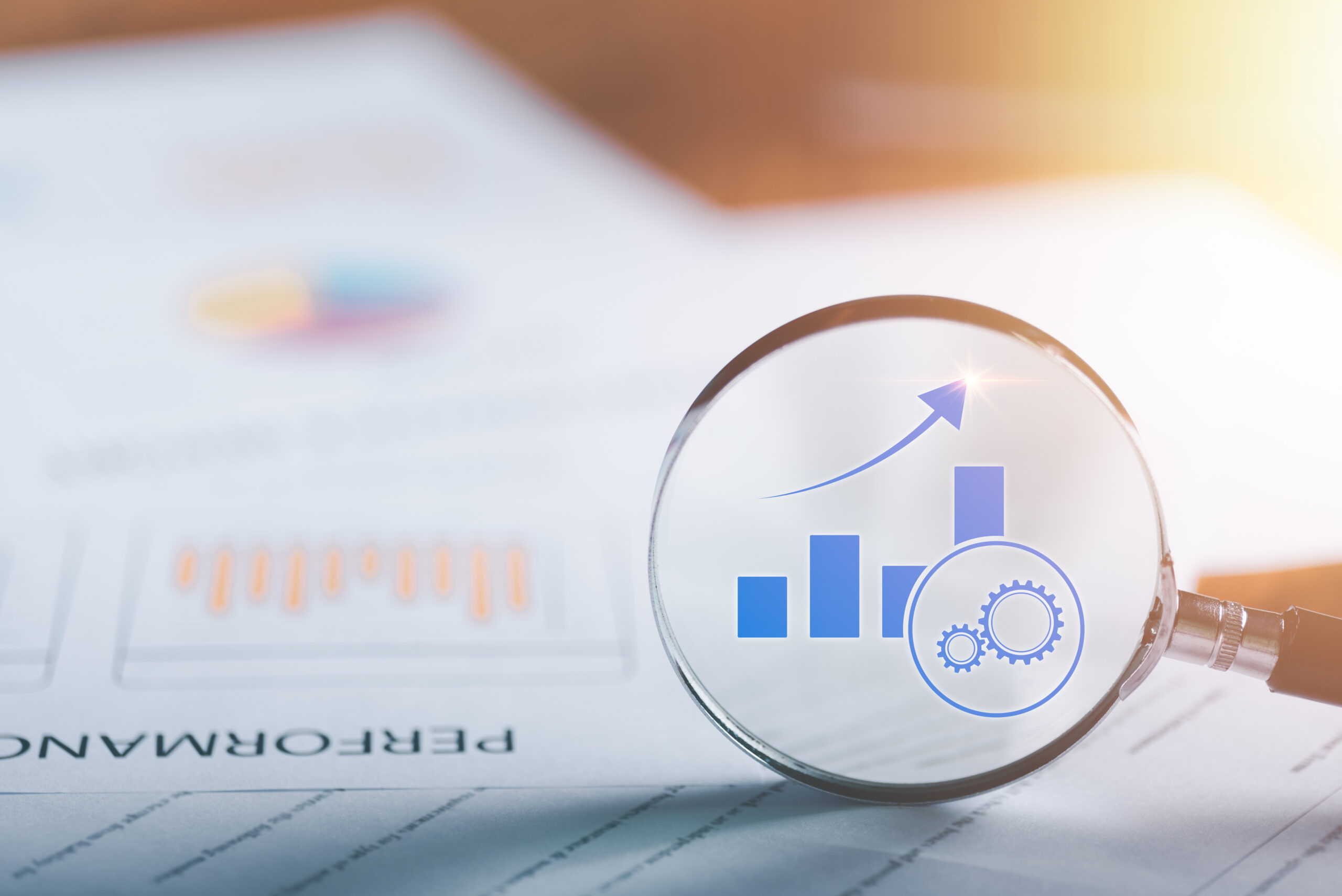 local seo services